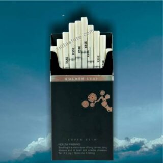 Esse Black Pack of 20 Sticks